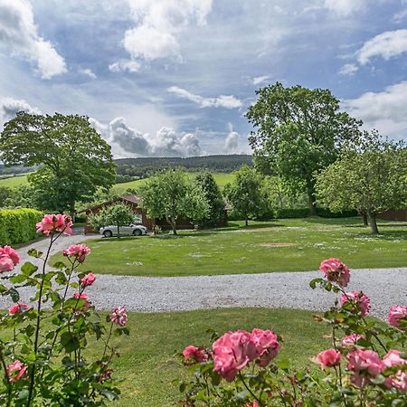 Laburnum Lodge Sleeps 6 Wheelchair Access Minehead Εξωτερικό φωτογραφία