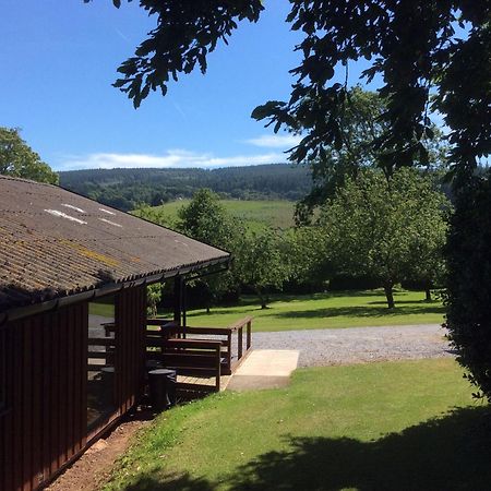 Laburnum Lodge Sleeps 6 Wheelchair Access Minehead Εξωτερικό φωτογραφία